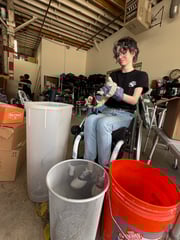 Lainey working on special projects at D4D