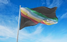 Disability Pride Month_Flag